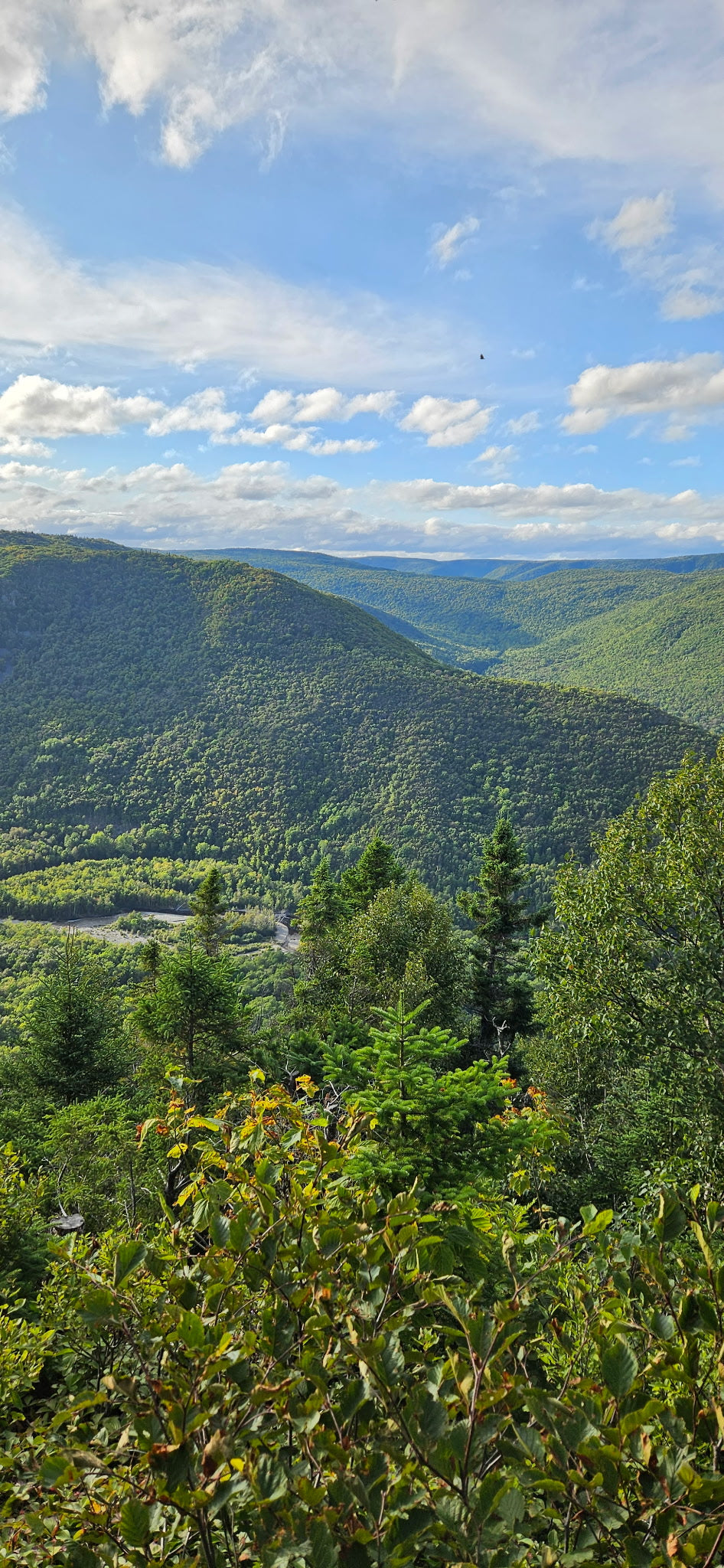 Cabot Trail Private Full Day Tour