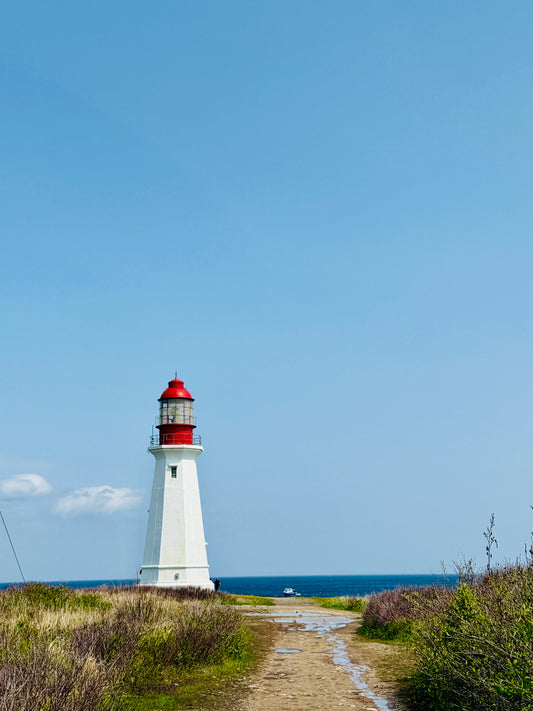 City Sight and Shoreline Tour in Cape Breton Island